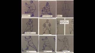 Yang shi Taijiquan: Tan Lian (Single posture training) sample 1