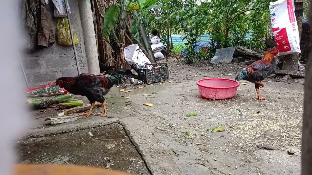 Hometown Highlights: What Makes My Town Unique!