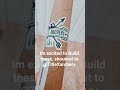 New Arrows