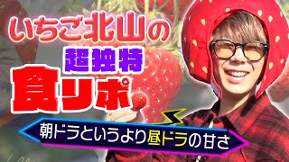 #18【都内でイチゴ狩り】農園店主が教える通な楽しみ方伝授！さらに北山、幼少期のいちごエピソードとは…