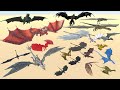 A Song of Ice and Fire Dragon Wingspan Comparison - 3D Animation Comparison