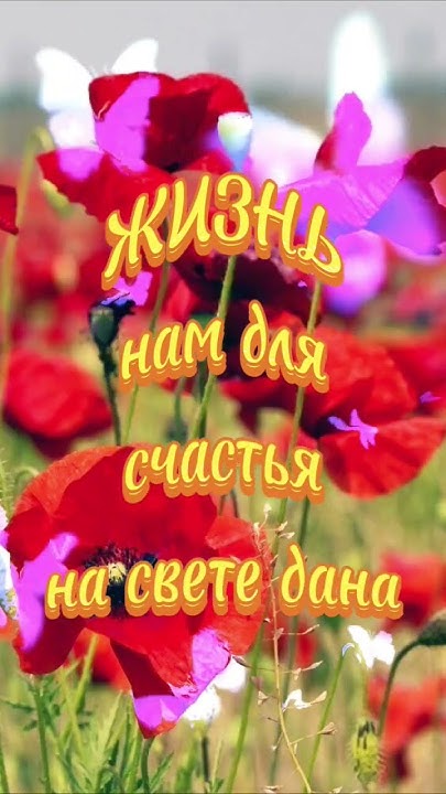 Радуйтесь жизни! 🌹 - YouTube