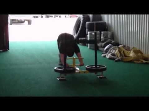 Backwards Prowler Push - YouTube