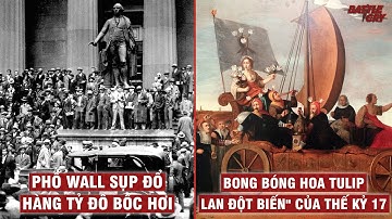 NHŨNG VỤ BONG BÓNG KINH TẾ CHẤN ĐỘNG LỊCH SỬ THẾ GIỚI | THƯƠNG TRƯỜNG KỲ TRUYỆN #1