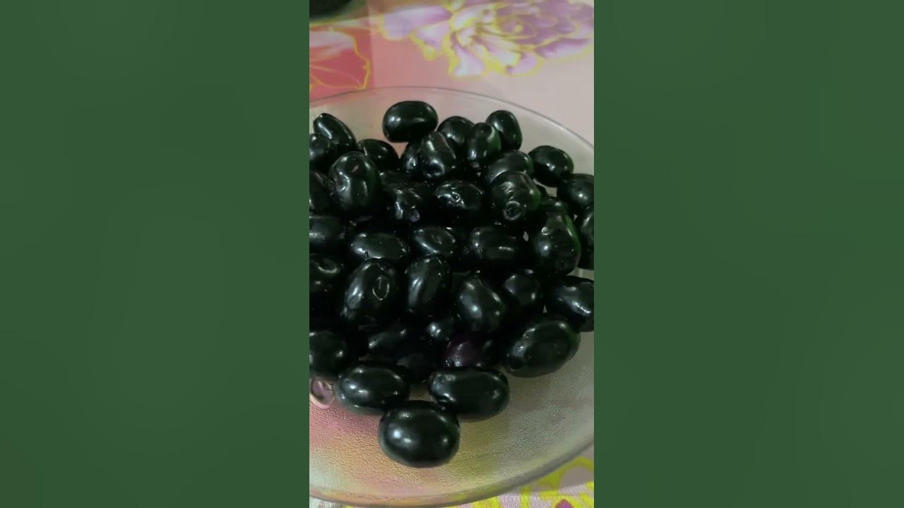english-name-java-plum-pangasinan-lomboy-tagalog-duhat-nativefruit