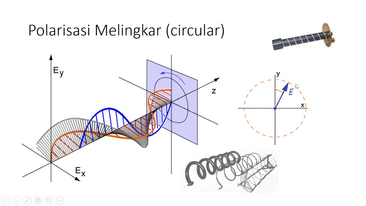 Sunnat qilingan va sunnat qilinmagan jinsiy olat ortasidagi jinsdagi farq