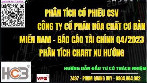 Coông ty hóa chất cổ phần cơ bản miền nam năm 2024