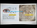 The Dawn of Belief: Shamanism, Cave Art, and the World's First Religion - OOT Part 1