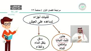 مراجعة الفصل الأول - العلوم - أول ابتدائي