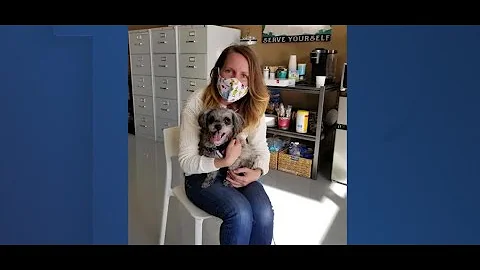 UPDATE: Bella, a dog whose owner died from COVID-19, got adopted