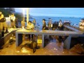 Galapagos Fish Market