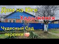 Дом на Юге/ Чудесный Сад,  персики 🍑/ Хадыженск  Краснодарский край