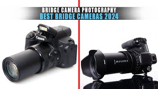 5 Best Bridge Cameras 2024 | Top Bridge Camera Photography