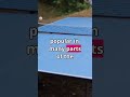 Most Sports popular in 2023 #shorts #football #sports