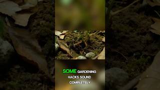 5 Weird Gardening Hacks That Actually Work 😳🌱