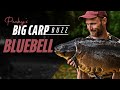 Peckys big carp buzz  bluebell lakes uk day ticket fishing   korda 2021