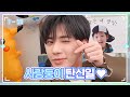 [T-MI] 태현이 최애만 모아모아💕 해피 태현 데이🥳 - TXT (투모로우바이투게더)