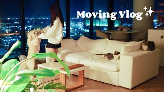 I Moved Into My Dream Apartment