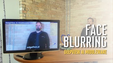 Face Blurring Demo Application - DeepView AI Middleware