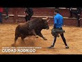 🔔 ENCIERRO, CAPEA Y DESENCIERRO con TOROS de la ganadería TORREALBA // CIUDAD RODRIGO 2023