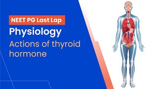 Physiology - Actions of Thyroid hormone