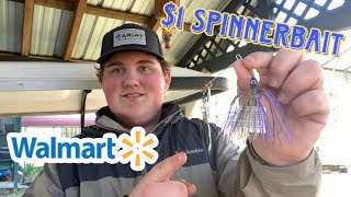 Testing out a $1 walmart spinnerbait
