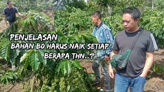 SETIAP BERAPA TAHUN SEKALI BAHAN B0 HARUS DI SIMPAN KEMBALI