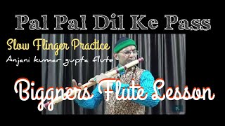 Pal Pal Dil Ke Pass Tum Rahati Ho Biggners Flute Lesson Slow Motion Tutorial Anjani Flute