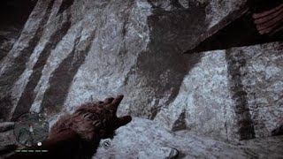 Another Far Cry Primal Glitch Or Bug