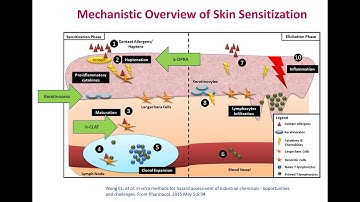 Derive a Point of Departure from In Vitro Methods for use in Skin Sensitization Risk Assessment Pt 1