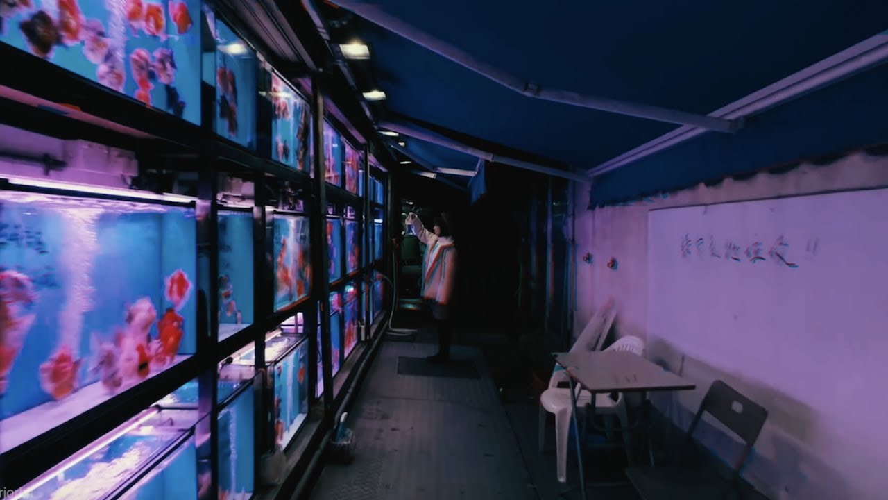 LOONA | BURN「FANMADE TEASER」