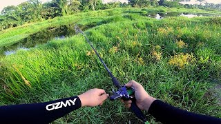 PERUT BARAI MASA MANCING