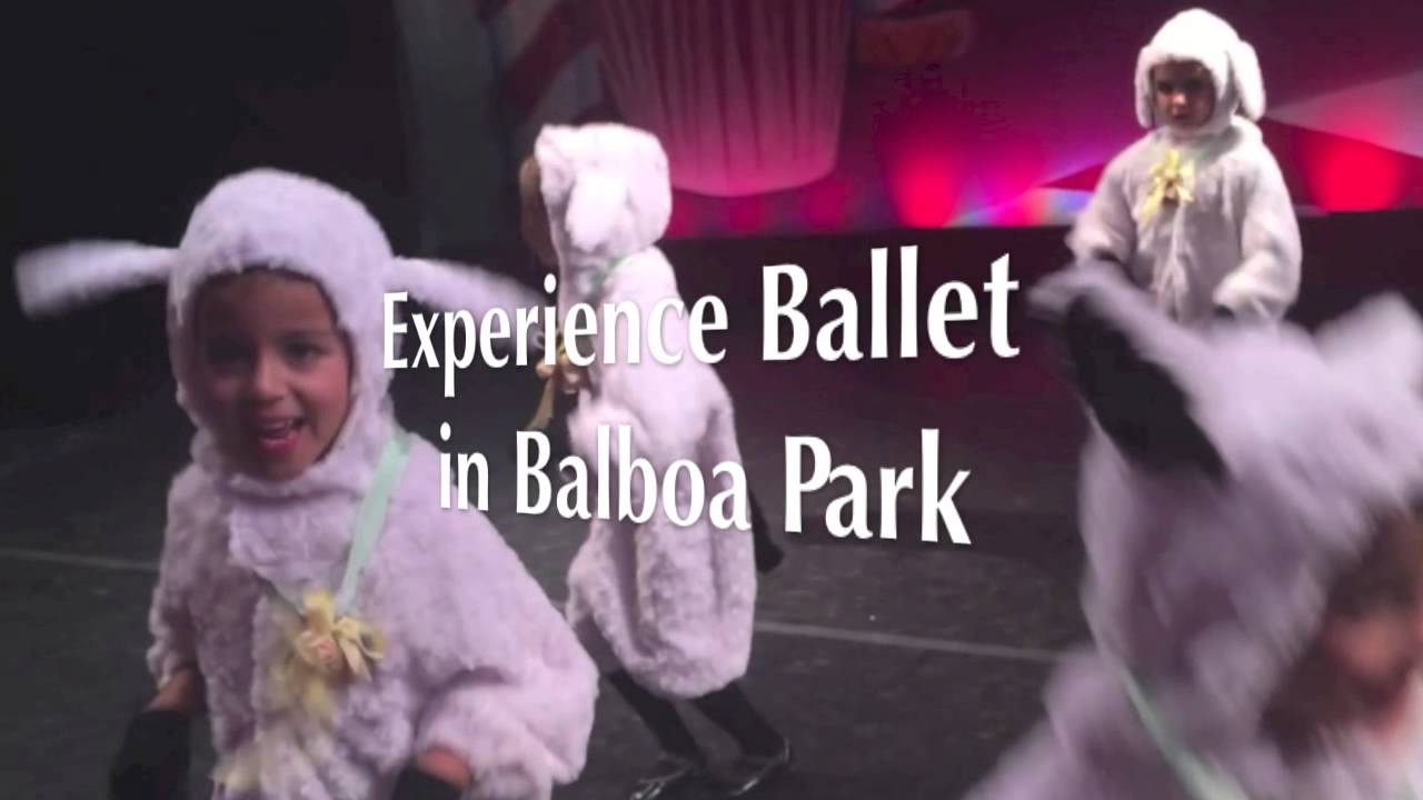 Baby Ballet | Shrunken Lamb