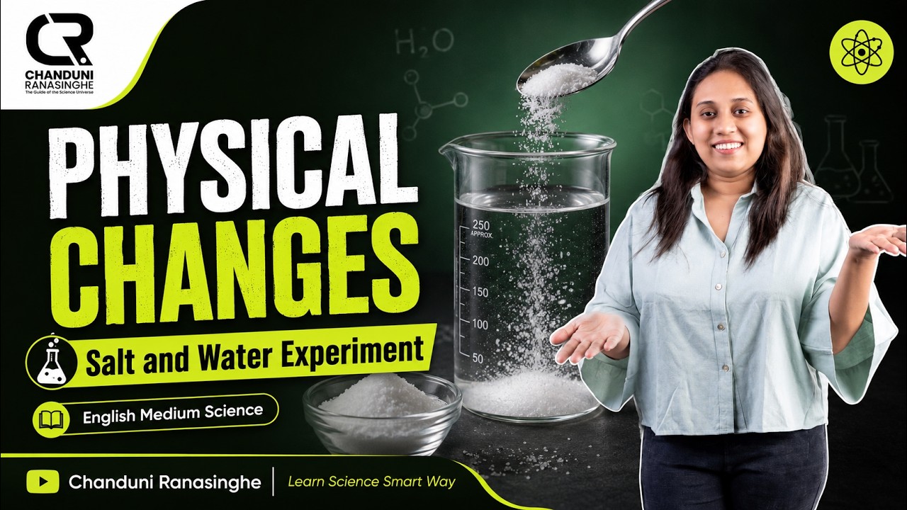 Physical Changes | Salt and Water Experiment