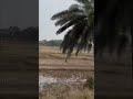 Mere desh ki dharti....