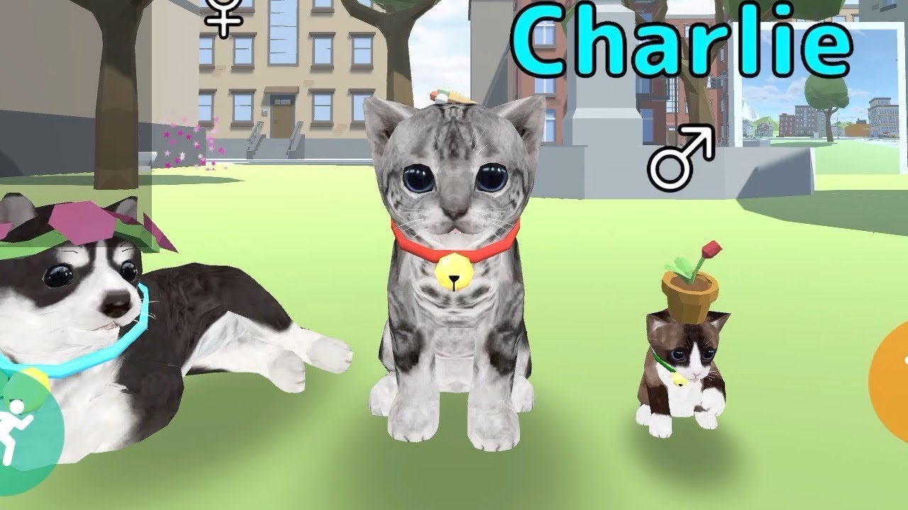 Kitten Cat Game: Cat Animal 3D - Apps on Google Play