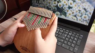 ลม - Num Kala | kalimba cover