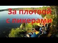 За плотвой с пикерами!