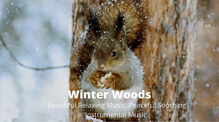 Winter Woods - Beautiful Relaxing Music, Peaceful Soothing Instrumental Music