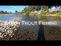 Found more fish in the manawatu  fly fishing new zealand  aaron trout fishing