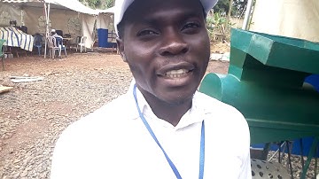 Commercial production of cocoa pod breaking machine.