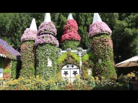 Dubai Miracle Garden 2019