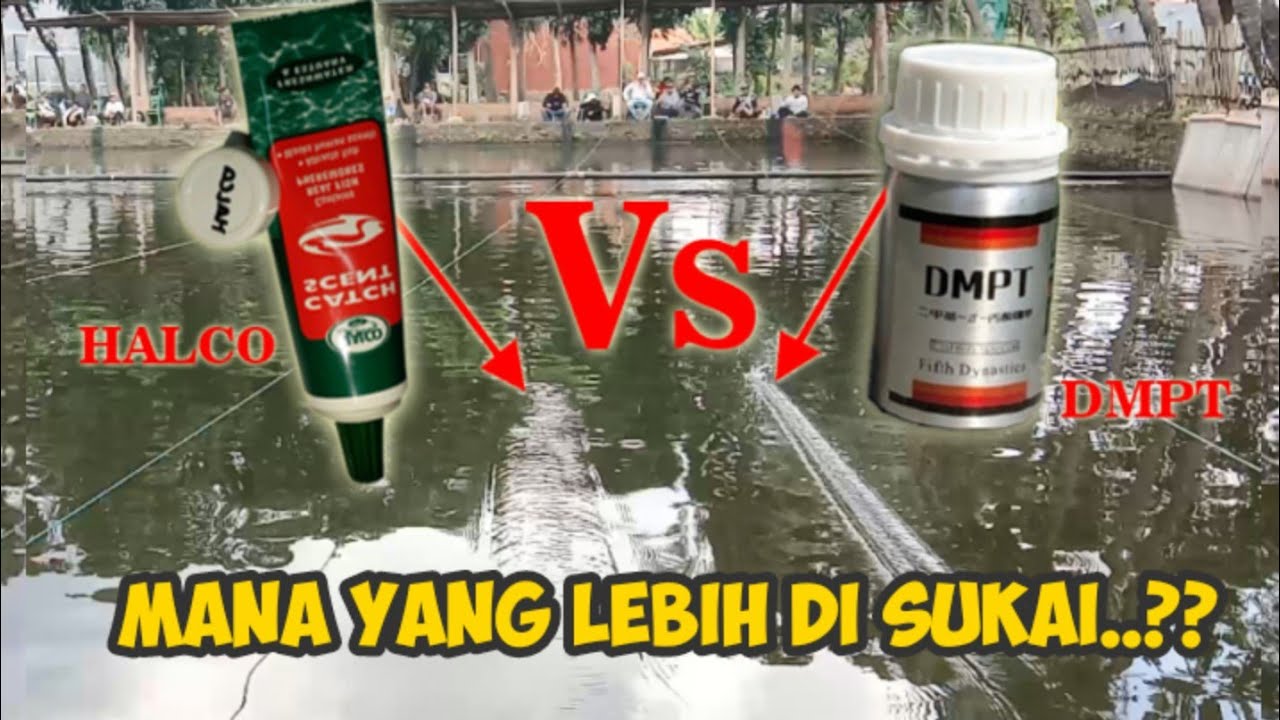 UMPAN IKAN MAS PAKAI ESSEN DMPT VS HALCO FISH ATTRACTANT