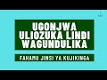UGONJWA WA AJABU LINDI NA JINSI YA KUJIKINGA MillardayoTZA Wasafi Media EDigitalTanzania 
