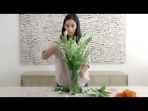 Como organizar Tulipas & Snapdragon com vaso