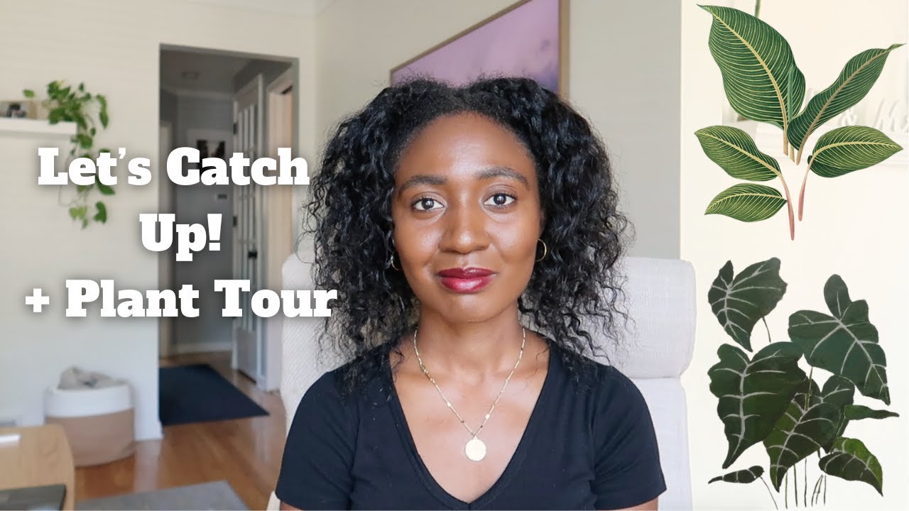 What s Really Been Going On Catch Up And Plant Tour YouTube what-s-really-been-going-on-catch-up-and-plant-tour-youtube