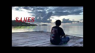 Video thumbnail of "SANES JOKOWI DODO DANGDUT ( AI Cover )"