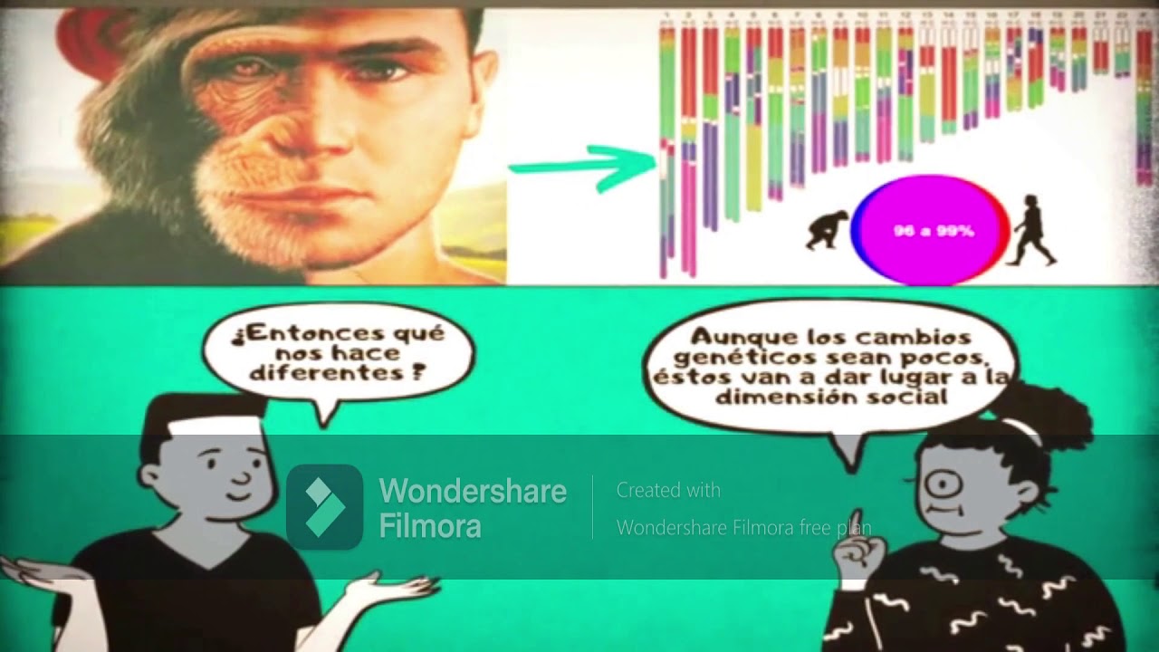 El ser humano, su dimensión biológica y social