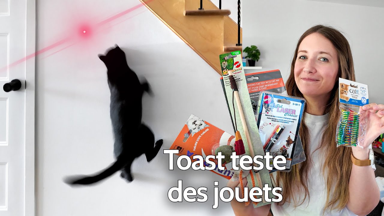 On teste des jouets pour Toast et vacances en famille !