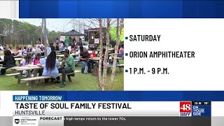 Taste of Soul family festival at the Orion Amphitheater